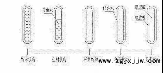 木材中的水份