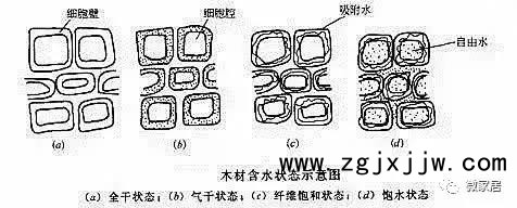 木材中的水份2