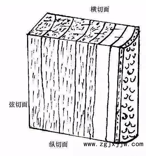 木材的湿胀与干缩