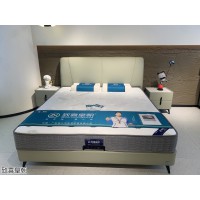 致喜皇朝软体家具，江西南康现代休闲软体床、时尚轻奢软体沙发，佛山致喜家具厂家