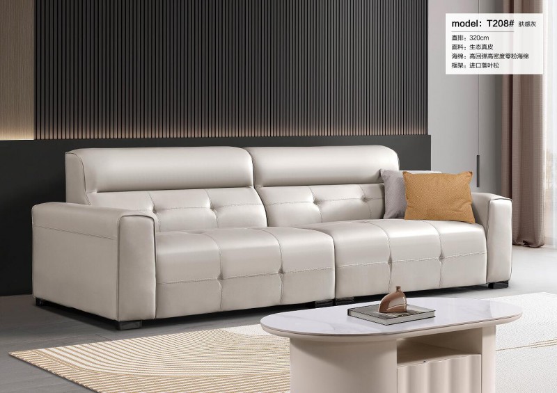 天辰一品休闲沙发 (2)