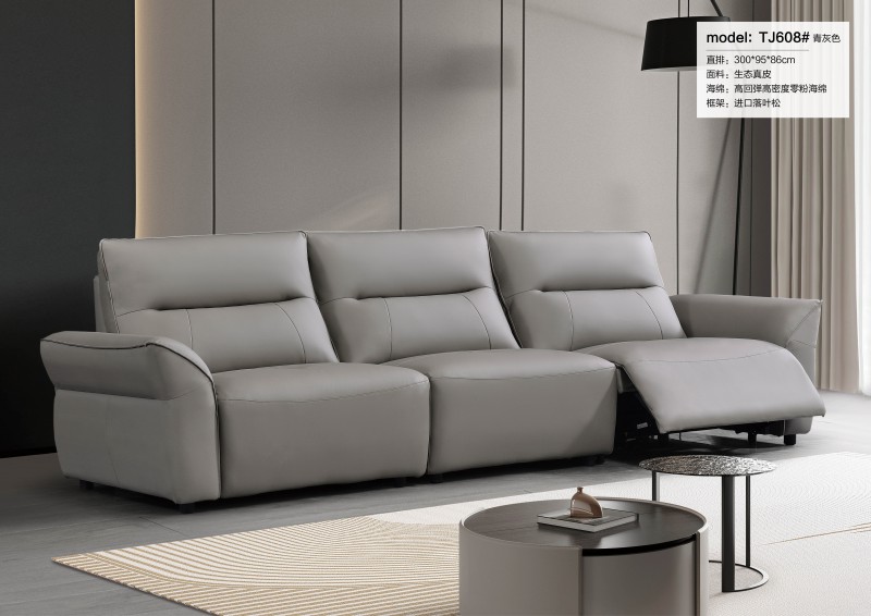 天辰一品功能沙发 (2)